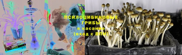 СК Елабуга